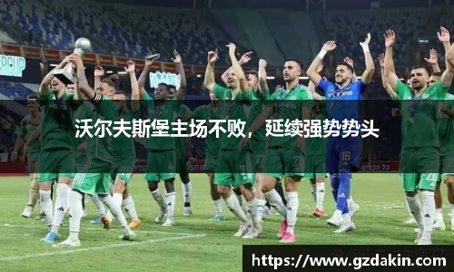 沃尔夫斯堡主场不败，延续强势势头