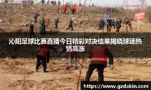 沁阳足球比赛直播今日精彩对决结果揭晓球迷热情高涨